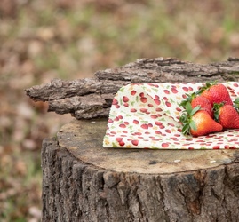 Strawberry print - Single Wrap